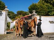 Quinta dos Rouxinois